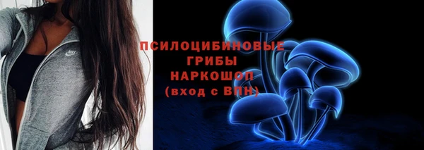 амф Заволжск
