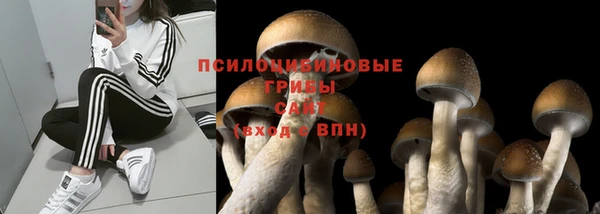 ALPHA PVP Заводоуковск