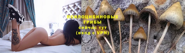 амф Заволжск