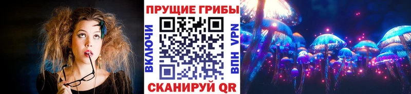 Псилоцибиновые грибы мицелий  Купить закладки  Первомайск 